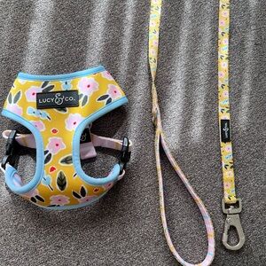 Lucy&Co (Resersable) XS Harness W/Leash